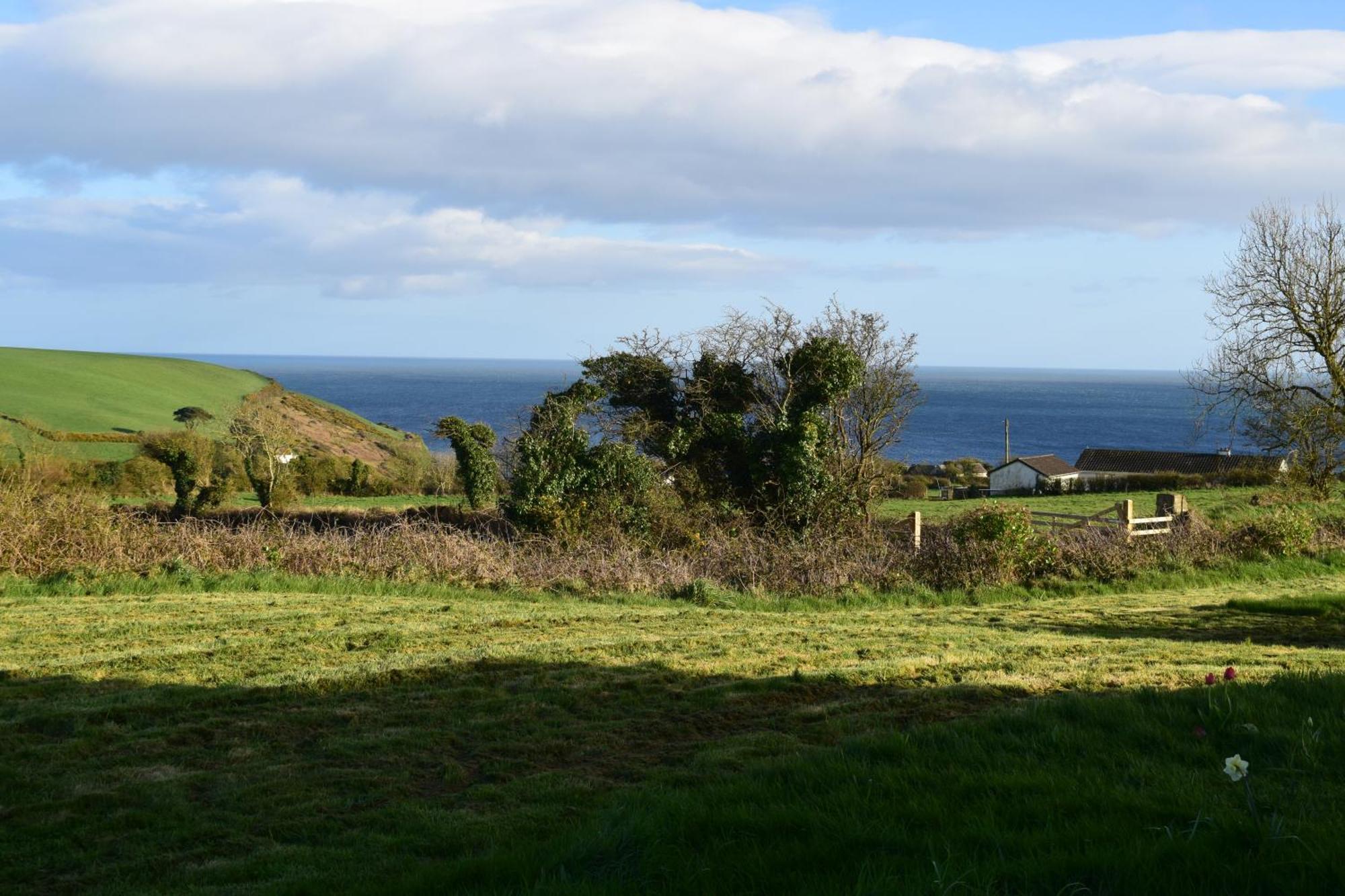Cedarblue Bed and Breakfast Dungarvan  Eksteriør billede